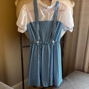 Rubie's Dorthy The Wizard of Oz Blue and White Checkered Dress